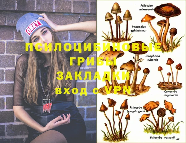 ешки Слюдянка