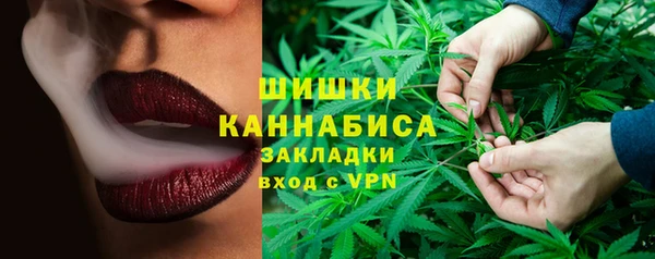 mdpv Снежногорск