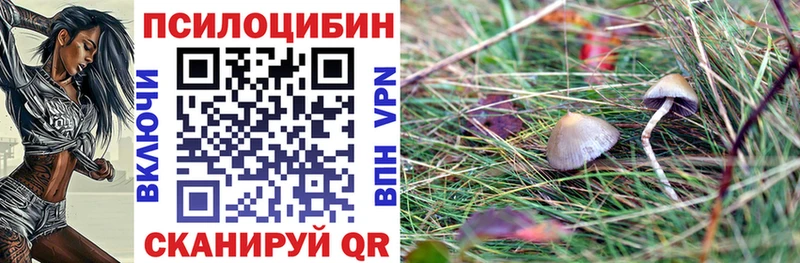 Галлюциногенные грибы Psilocybe  Монино 