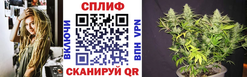 Бошки марихуана планчик  Монино 
